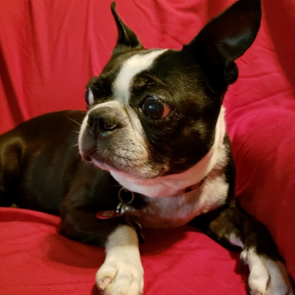 Meet your Posher, Corey - Picture 1 of 1